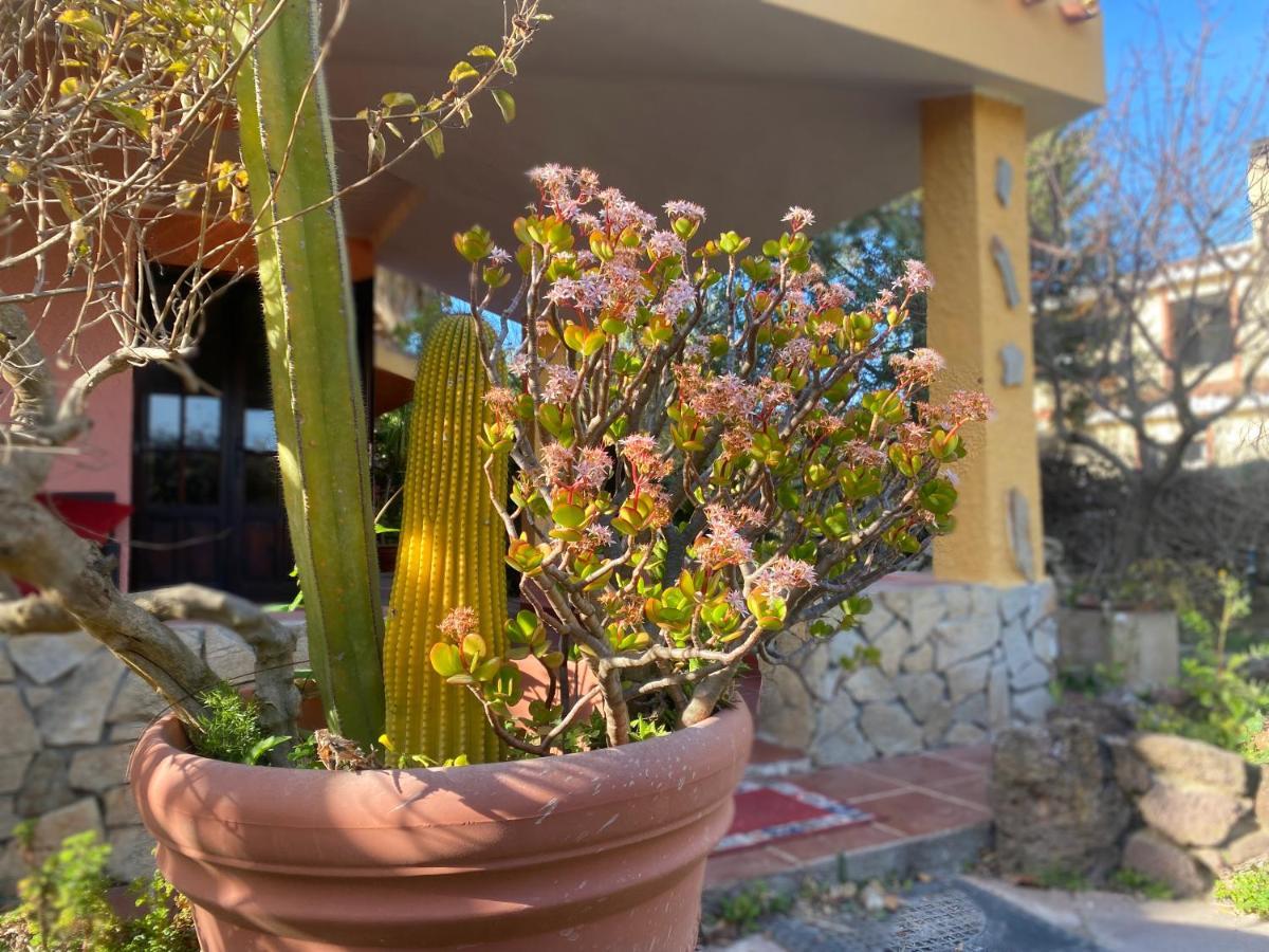 Lovely Home 5 Min Walk To The Beach, 3 Bedrooms Ample Outdoor Relax And Wifi Capitana Exterior foto